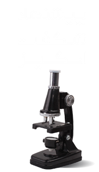 پیشنهادهای شگفتانگیز